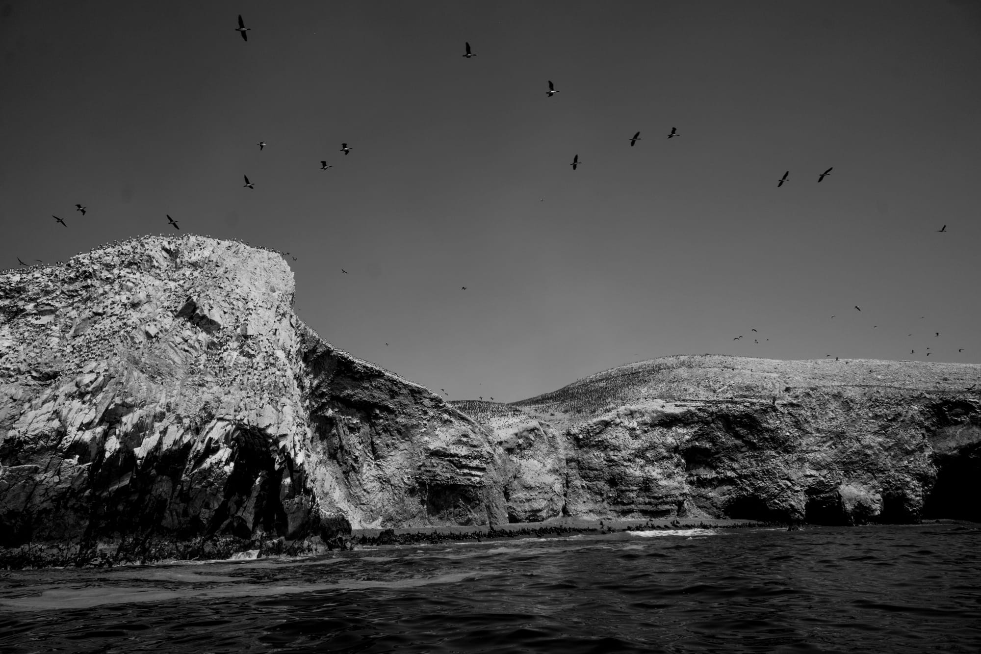 Your Local Anthropologist